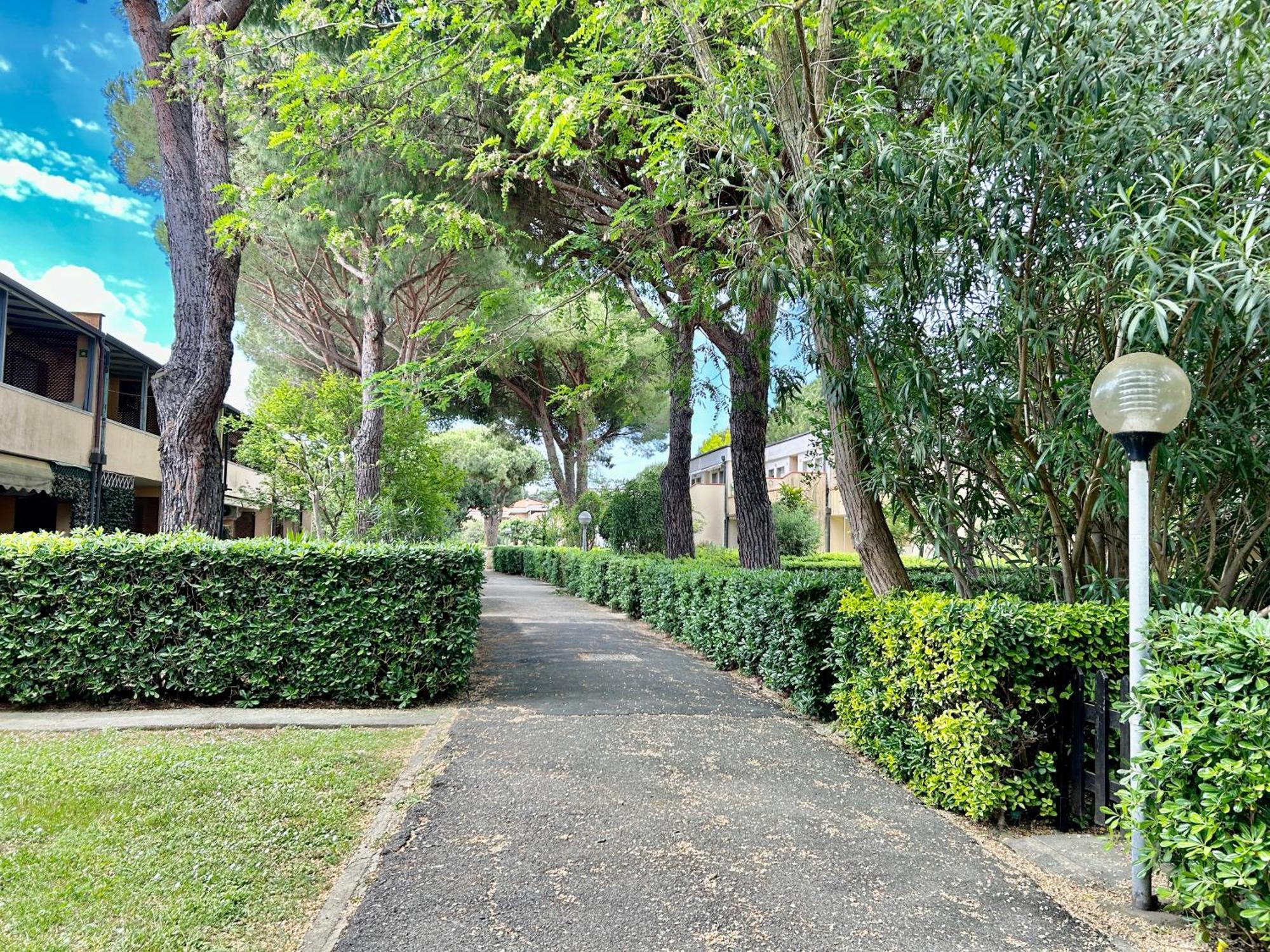 Appartamenti Via Dei Cipressi マリーナ・ディ・ビッボーナ エクステリア 写真